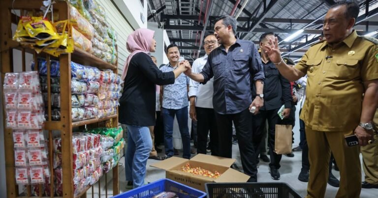 Sinergi Pemerintah dan UMKM dalam Program Makan Bergizi Gratis: Peluang Ekonomi Baru