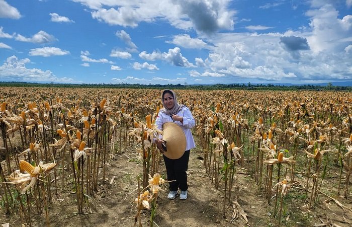 Food Estate di Papua: Dorong Ketahanan Pangan dan Ciptakan Lapangan Kerja
