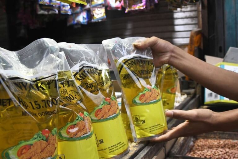 Pemerintah Bertindak Tegas Bongkar Kecurangan Minyakita