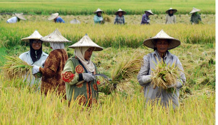 Swasembada Pangan dan Energi, Kunci Kemandirian Ekonomi Nasional