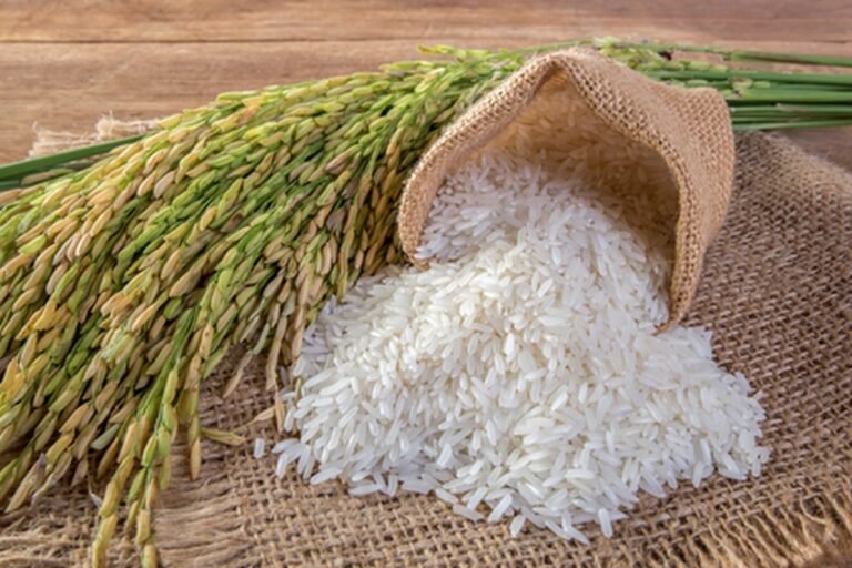 Apresiasi Komitmen Pemerintah Serap Gabah Hasil Panen di Berbagai Wilayah