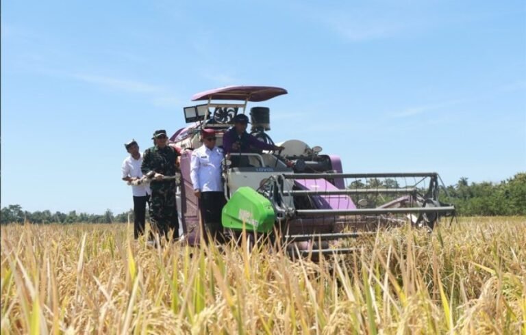 Hadiri Panen Raya Majalengka, Pemerintah Dukung Swasembada Pangan Berkelanjutan