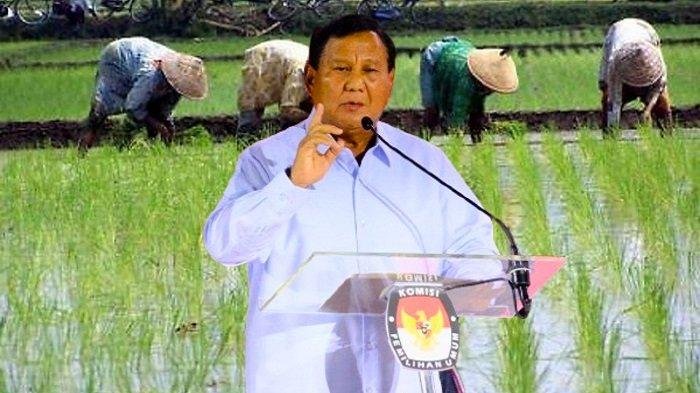 Pemerintah Perkuat Dukungan Infrastruktur untuk Percepat Swasembada Pangan