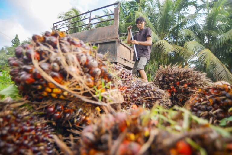 Membangun Industri Hilir, Kunci Sukses Program Hilirisasi Pemerintah