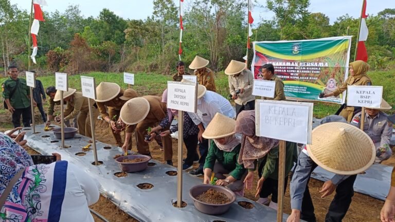 Indonesia Hentikan Impor Beras: Langkah Nyata Menuju Swasembada Pangan