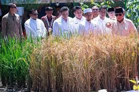 Apresiasi Elemen Masyarakat Gagas Program Gerakan Indonesia Menanam Dukung Target Swasembada Pangan