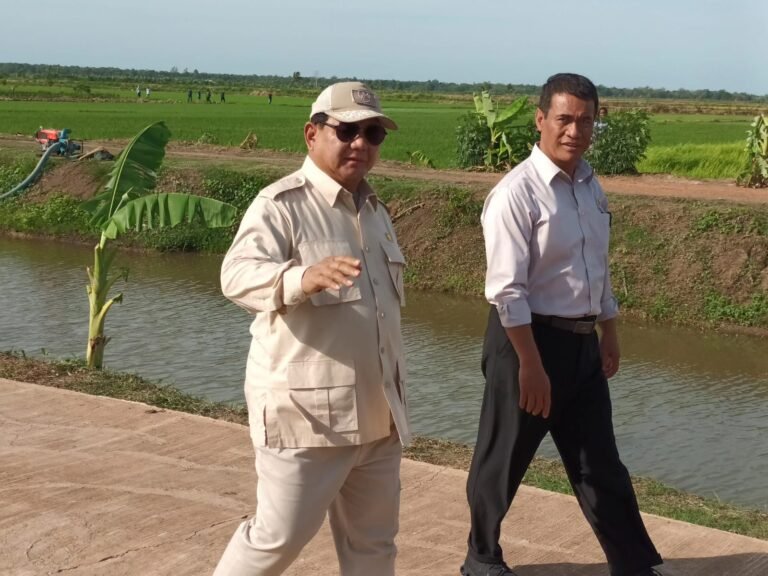 Infrastruktur Pertanian Jadi Fondasi Terwujudnya Swasembada Pangan