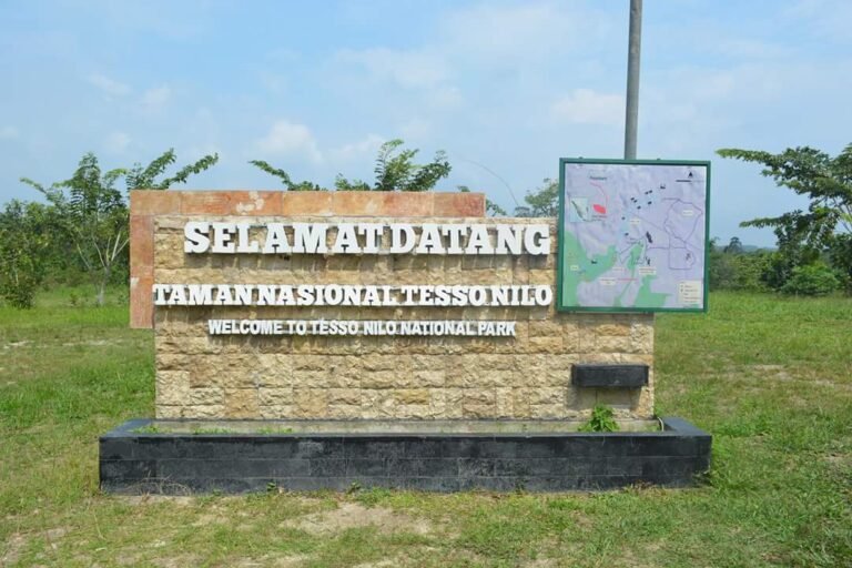 Apresiasi Langkah Pemerintah Selamatkan Taman Nasional Tesso Nilo dari Aksi Tindakan Ilegal