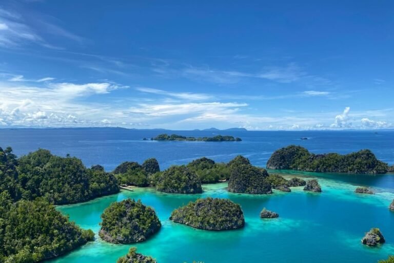 Ekosistem Laut Raja Ampat Terbukti Tidak Terganggu Tambang Nikel Pulau Gag