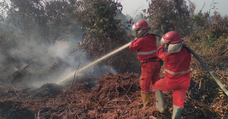 Waspada Musim Kemarau, Pemerintah Perkuat Mitigasi Karhutla
