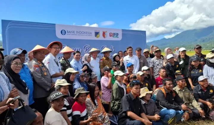 Optimalisasi Sawah, Pemerintah Genjot Swasembada Pangan Lewat Revitalisasi Lahan