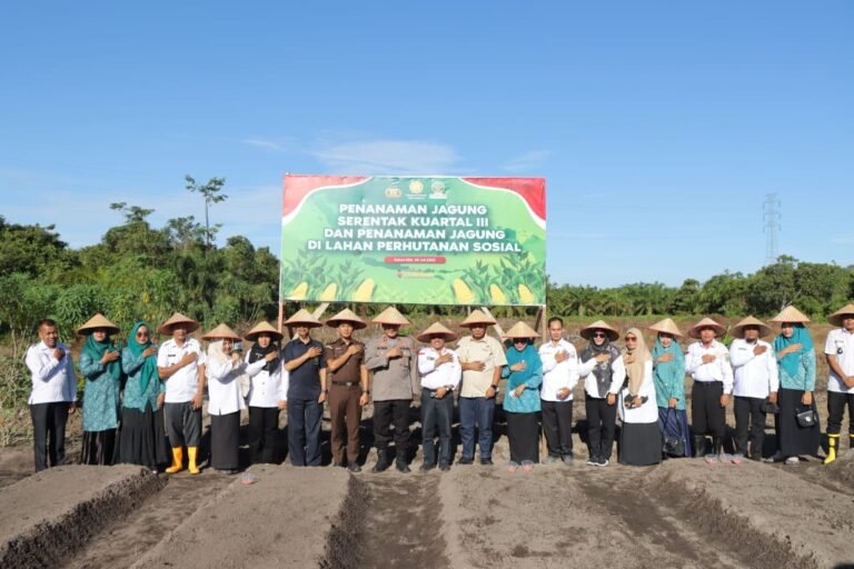 Pemerintah Optimalisasi Lahan Baru untuk Program Swasembada Pangan