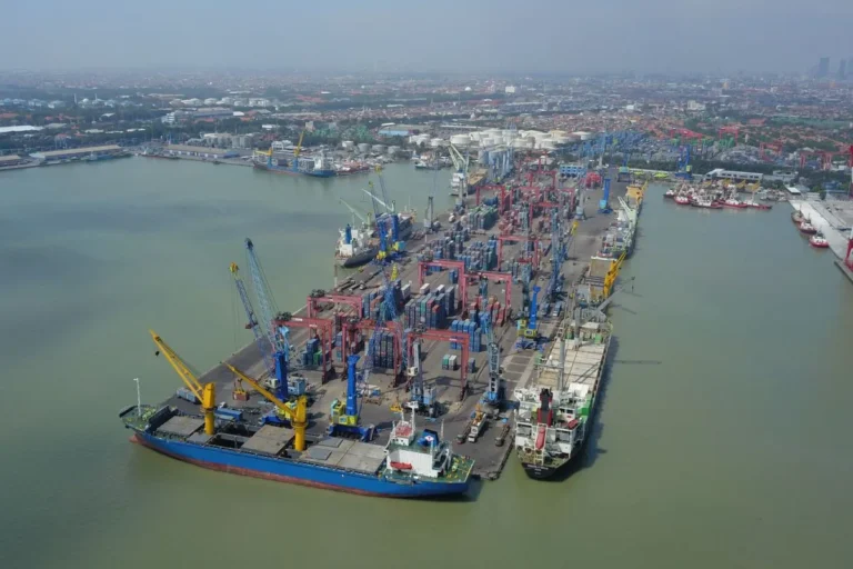 Deregulasi Impor Membuka Jalan Lebar bagi Pertumbuhan Ekonomi Nasional