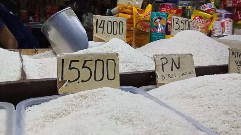 Pemerintah Usut Tuntas Kasus Peredaran Beras Oplosan Beri  Perlindungan Konsumen