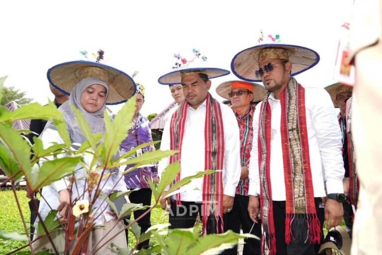 Pemerintah Pacu Swasembada Pangan dengan Optimalisasi Lahan