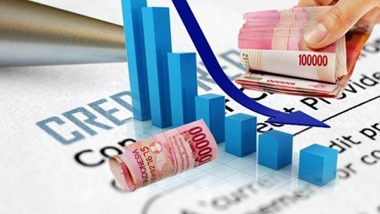 Data BPS Lebih Rinci dan Detail, Tidak Bertumpu pada Rata-Rata Global