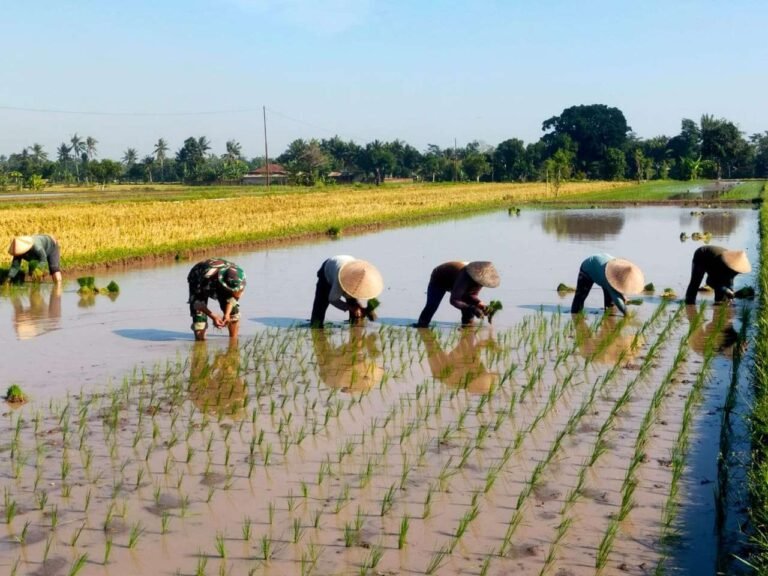 Transformasi Ekonomi Indonesia: Swasembada Pangan dan Energi Jadi Prioritas Strategis