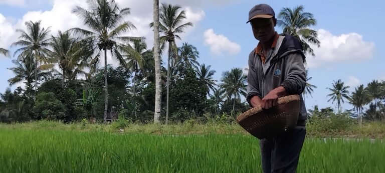 Pemerintah Percepat Swasembada Pangan dan Energi sebagai Pilar Ketahanan Nasional