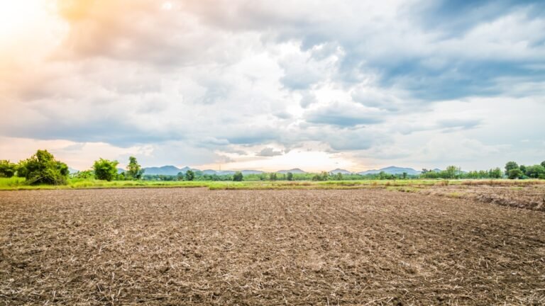 Pengalihan Tanah Solusi Pemerintah Manfaatkan Lahan Terlantar