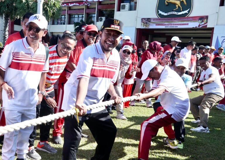 Menjaga Nasionalisme di Tengah Fenomena Pengibaran Bendera Bajak Laut Jelang HUT RI
