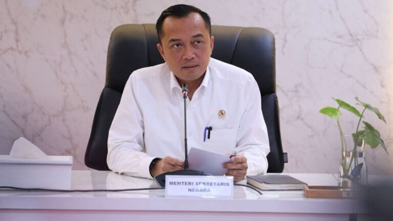 Penggunaan Bendera Bajak Laut di HUT RI Ke-80 Bagian dari Ekspresi Budaya Pop