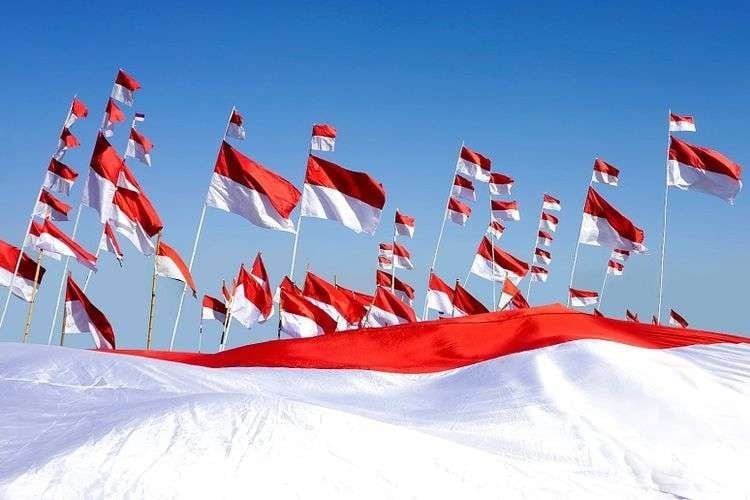 Fenomena Bendera Bajak Laut Rusak Kesakralan HUT RI