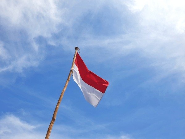 Rayakan Hari Kemerdekaan dengan Bendera Merah Putih, Bukan Simbol Lainnya