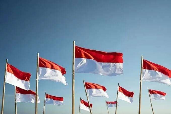 Pemerintah Imbau Masyarakat Tak Samakan Merah Putih dan Bendera Bajak Laut