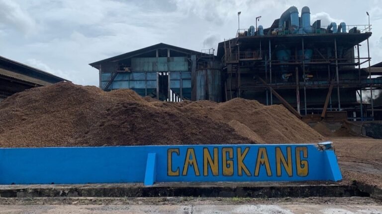 Pemerintah Tegaskan Tidak Ada Ruang bagi Praktik Pertambangan Ilegal