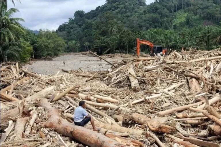 Pemerintah Serius Selidiki Praktik Ilegal Logging Dalam Bencana Sumatera