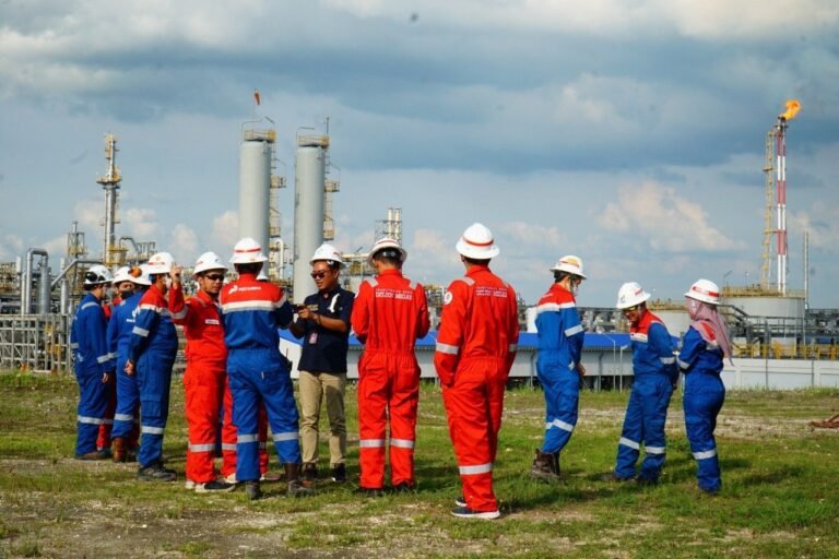 Komitmen Pemerintah Wujudkan Swasembada Energi Raih Sejumlah Apresiasi