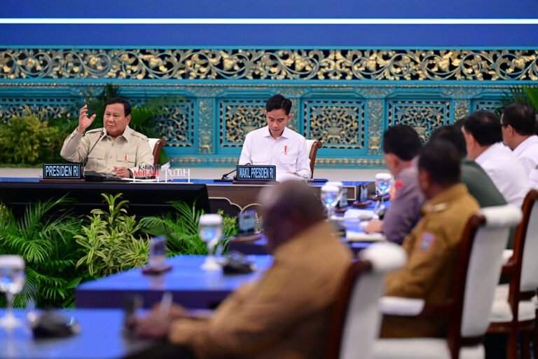 Percepat Pembangunan Papua, Dorong Kemajuan Merata di Seluruh Sektor