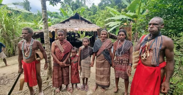 PSN Perkokoh Fondasi Kemandirian Pangan dan Kesejahteraan Papua Pegunungan