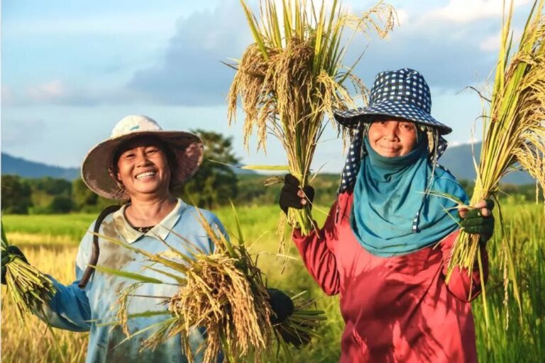 Indonesia Siap Jadi Lumbung Pangan Dunia: Komitmen dan Capaian Menuju Ketahanan Global