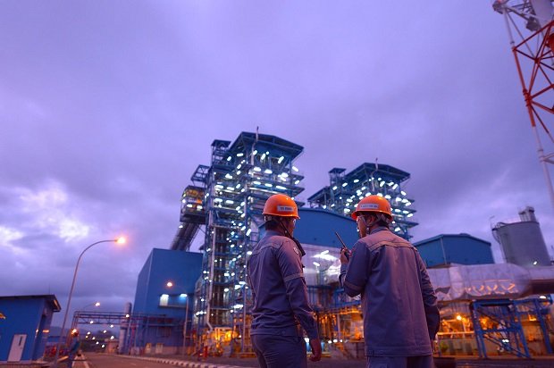 Dari Hilirisasi hingga UMKM: Strategi Pemerintah Memperluas Kesempatan Kerja