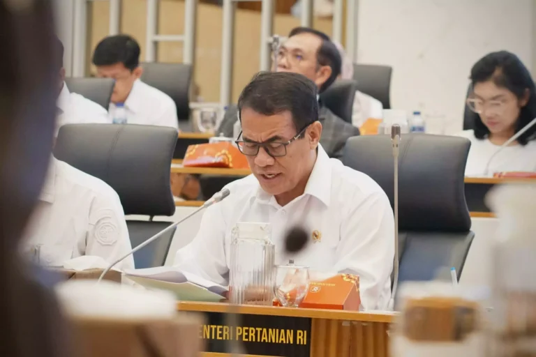 Ketahanan Pangan Nasional Menguat Sepanjang 2025 pada Era Pemerintahan Prabowo Gibran