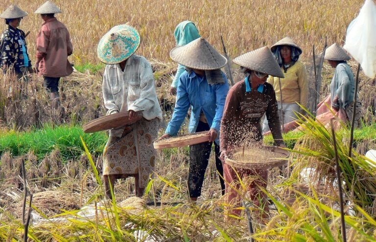 Strategi Terpadu Pemerintah Mengokohkan Ketahanan dan Kemandirian Pangan