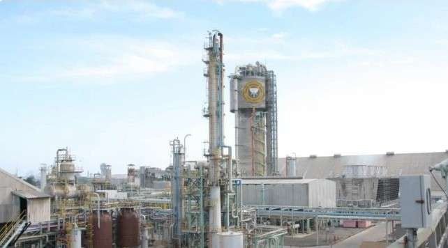 Pabrik Pupuk Fakfak Ciptakan Hilirisasi dan Masa Depan Pertanian Orang Papua