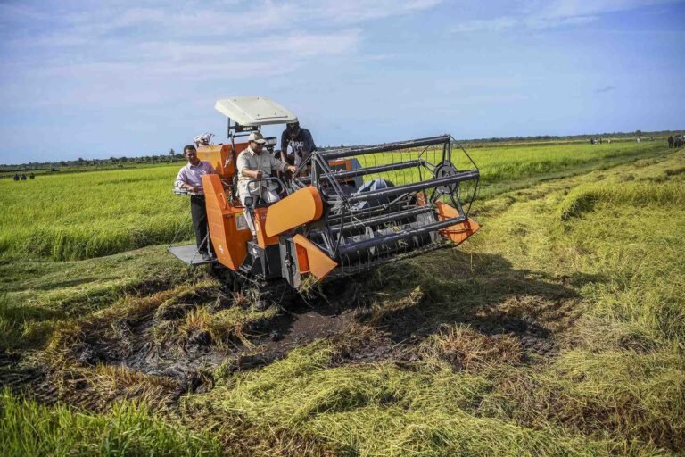 Swasembada Beras Tercapai Setahun, Prabowo Tegaskan Keberhasilan Reformasi Pertanian