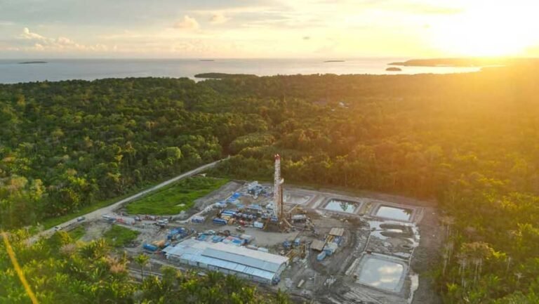 Investasi Energi Bersih Didorong untuk Percepat Transisi Rendah Karbon