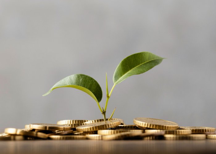 Perbaikan Iklim Usaha Jadi Pilar Kuat Stabilitas Investasi Indonesia