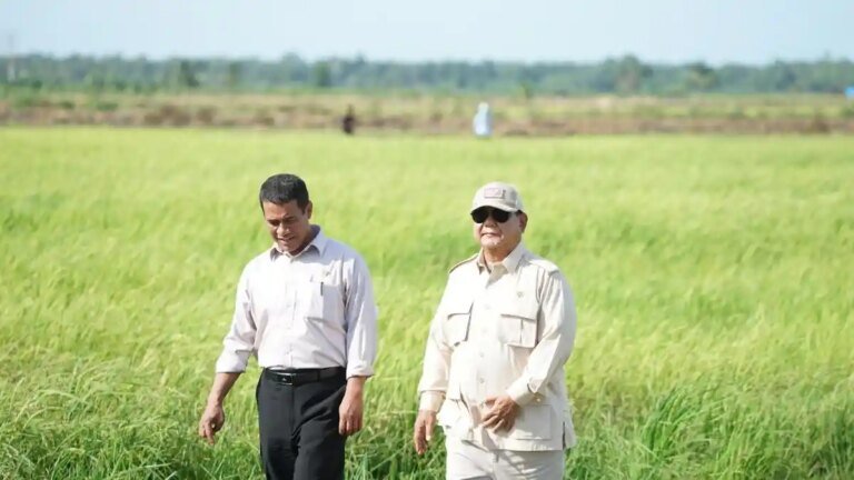 Swasembada Pangan Multi Komoditas: Dari Surplus Produksi Menuju Kedaulatan Sistemik