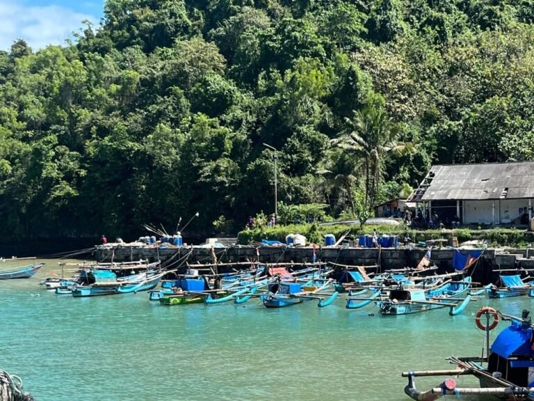 Kampung Nelayan Merah Putih, Jalan Baru Kebangkitan Ekonomi Pesisir Papua