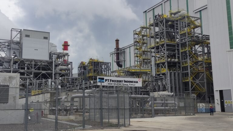 Penguatan Hilirisasi Komoditas Unggulan Papua Dorong Perekonomian Daerah