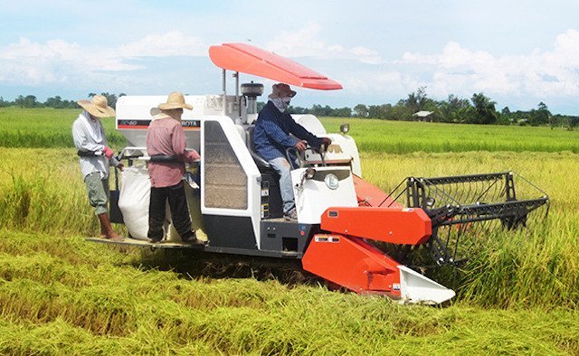 Swasembada Pangan sebagai Bukti Kekuatan Agraris Indonesia