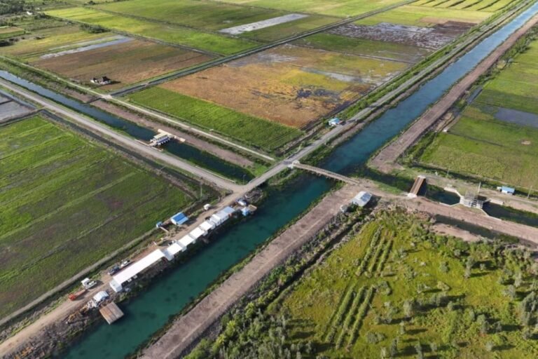 Di Tengah Tekanan Global, Swasembada Pangan Harus Dipercepat