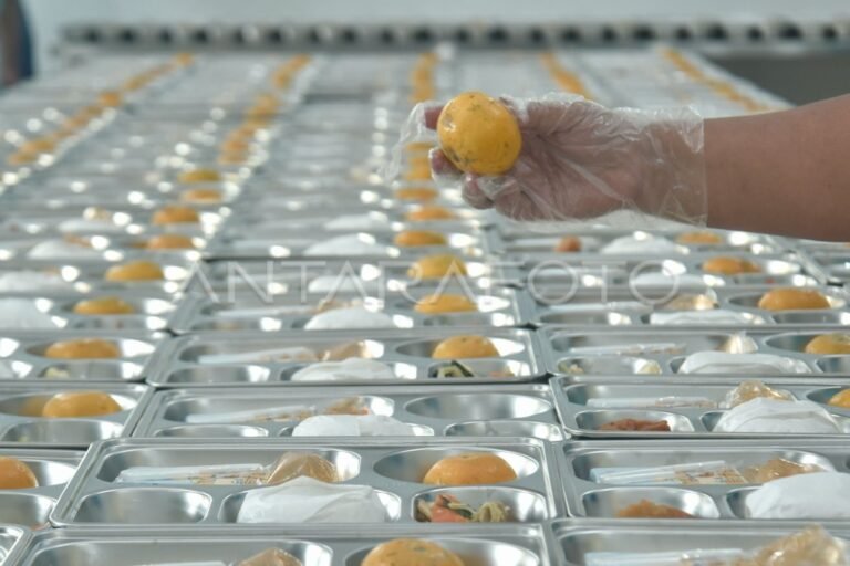 Temuan Bahan Pangan Tak Layak, Pemerintah Ambil Langkah Tegas Tutup SPPG