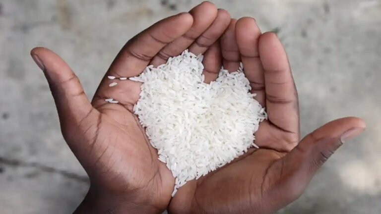 Swasembada Beras Diperkuat, Arah Kebijakan Menuju Pasar Ekspor