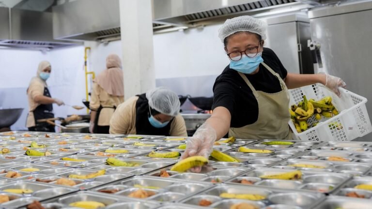 MBG dan Perannya dalam Perluasan Lapangan Kerja