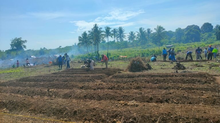 Ketahanan Pangan Papua Kian Kuat, Distribusi hingga Kampung Terpencil Terus Diperluas